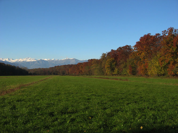 7 novembre 2014 Parco La Mandria-Guardando il Gran Paradiso