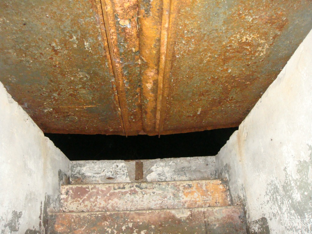 02 DSC09098.JPG