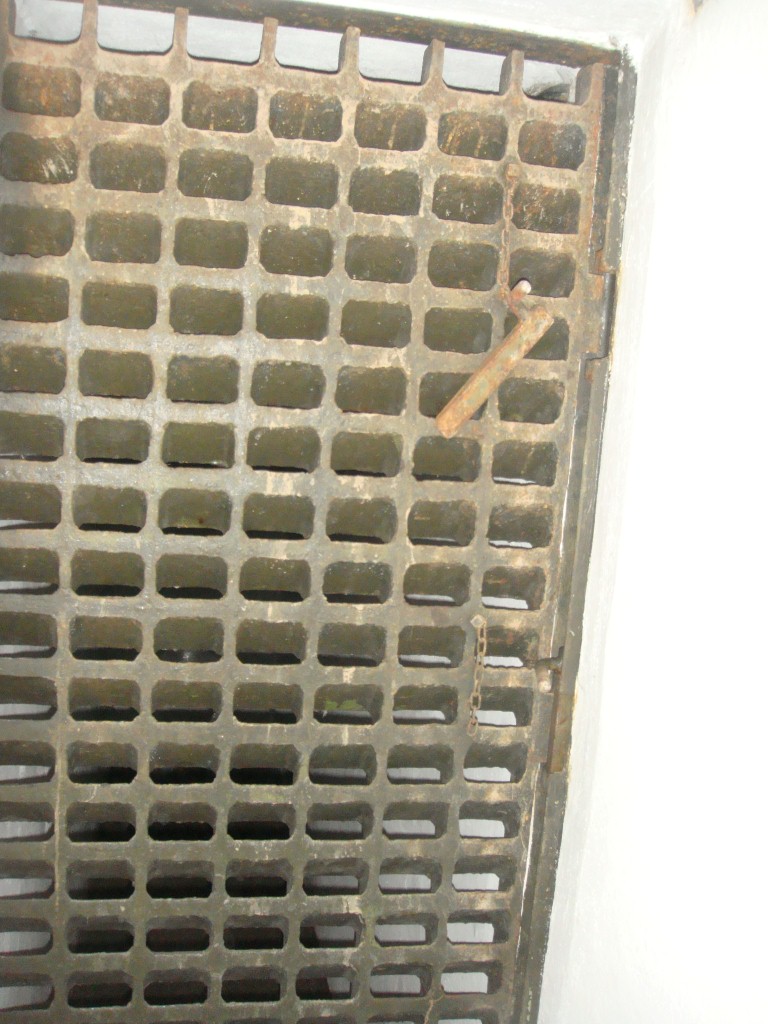 06 DSC09091.JPG