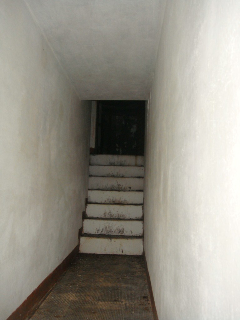 14 DSC09104.JPG