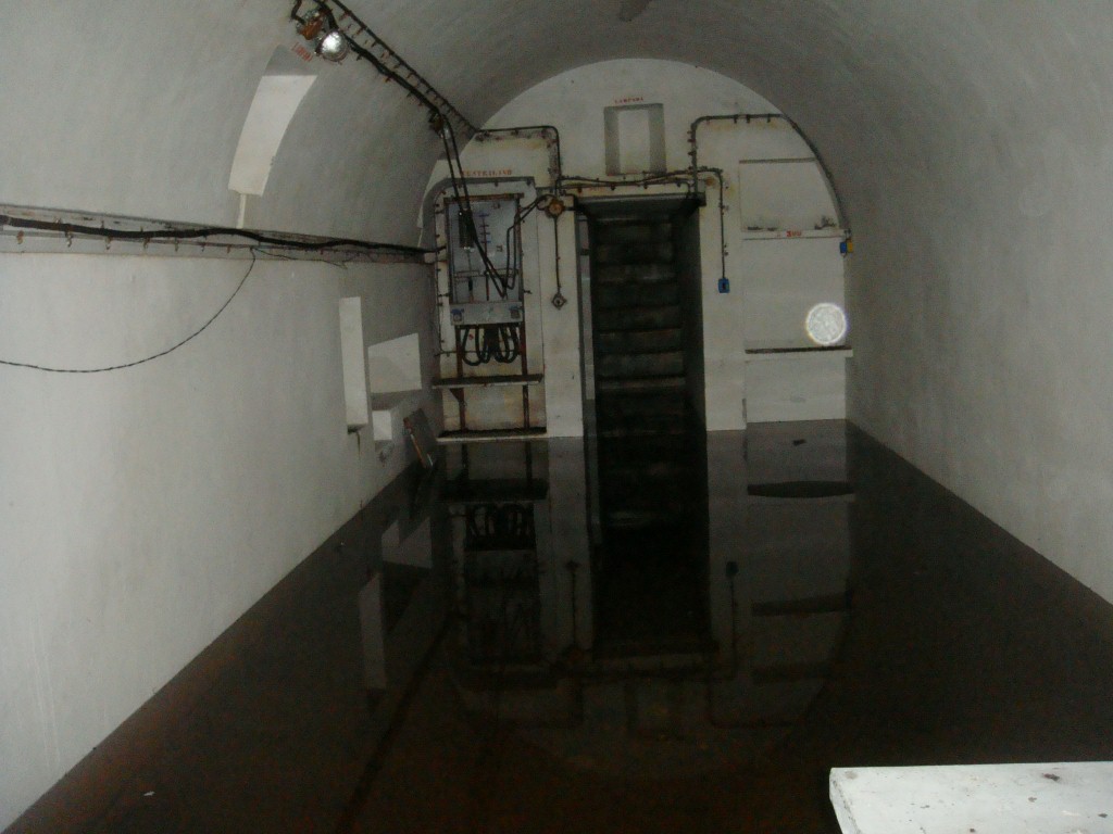 22 DSC09110.JPG