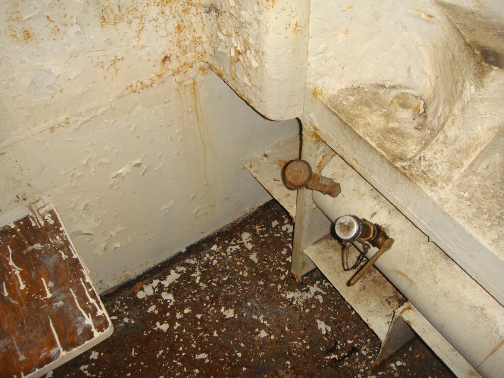11 DSC09135.JPG