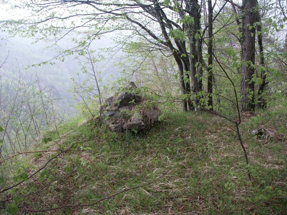 PICT0136.JPG