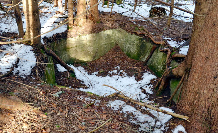 DSC_0952a.jpg