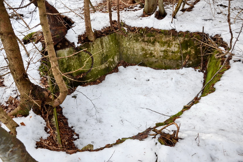 DSC_0953a.jpg