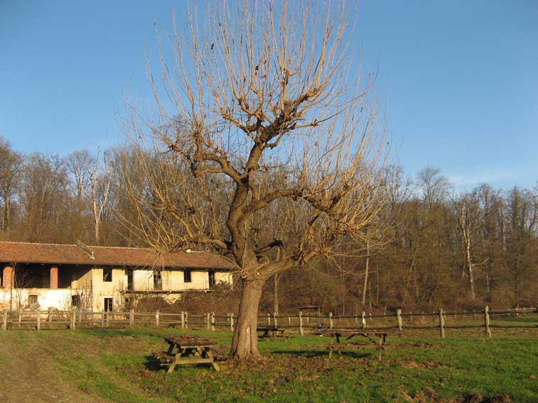 21 dicembre 2014 Solstizio d'inverno