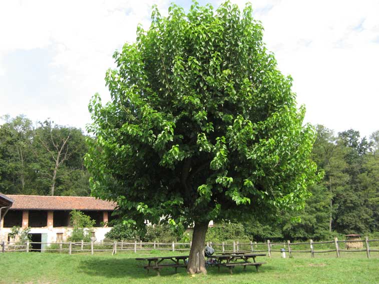 21 settembre 2014 equinozio d'autunno