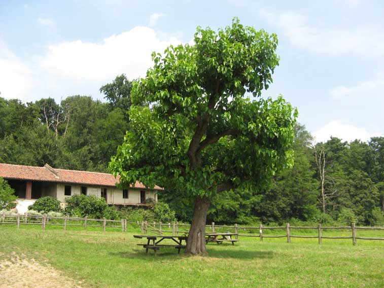 21 giugno 2014 solstizio d'estate