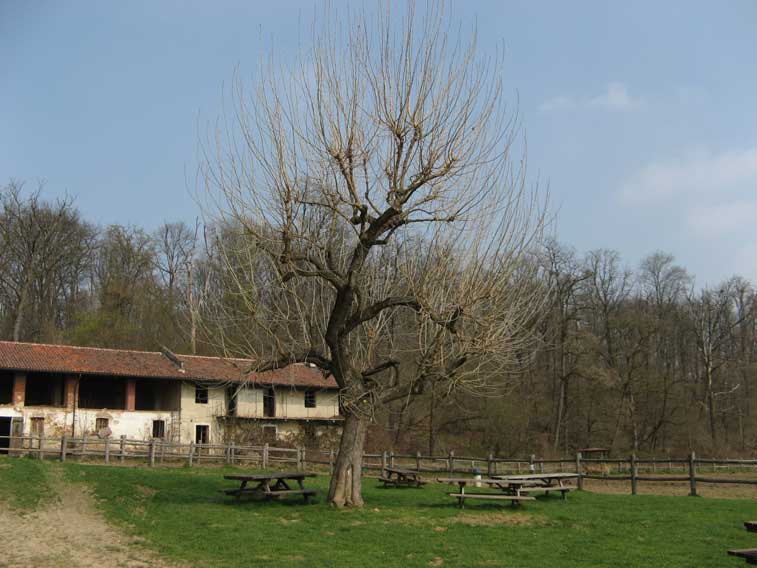21 marzo 2014 equinozio di primavera