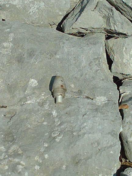 Spoletta.jpg
