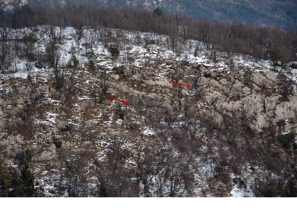 cuel di mena.jpg