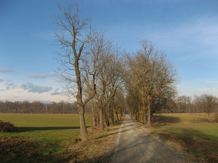3 gennaio 2015 Parco La Mandria-Scorcio
