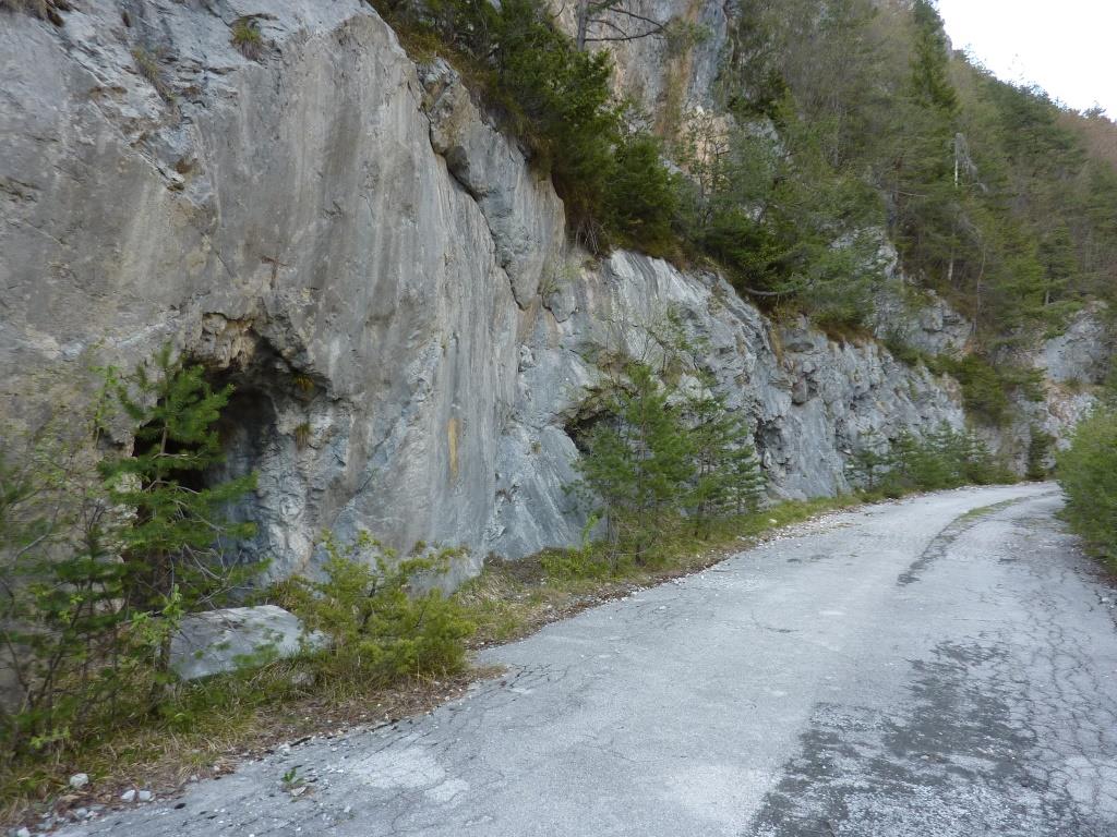 P1060986.JPG