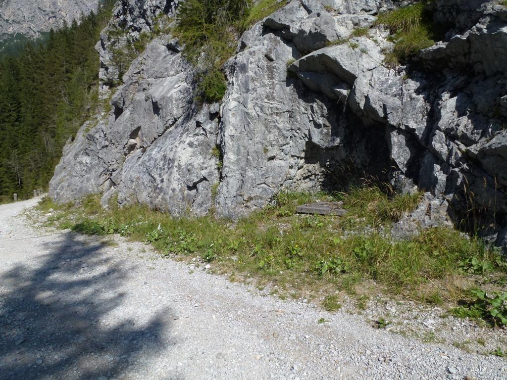 P1030595.JPG