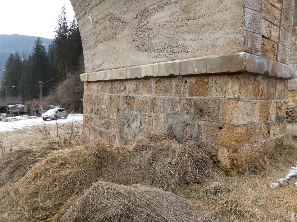 P1100779.JPG