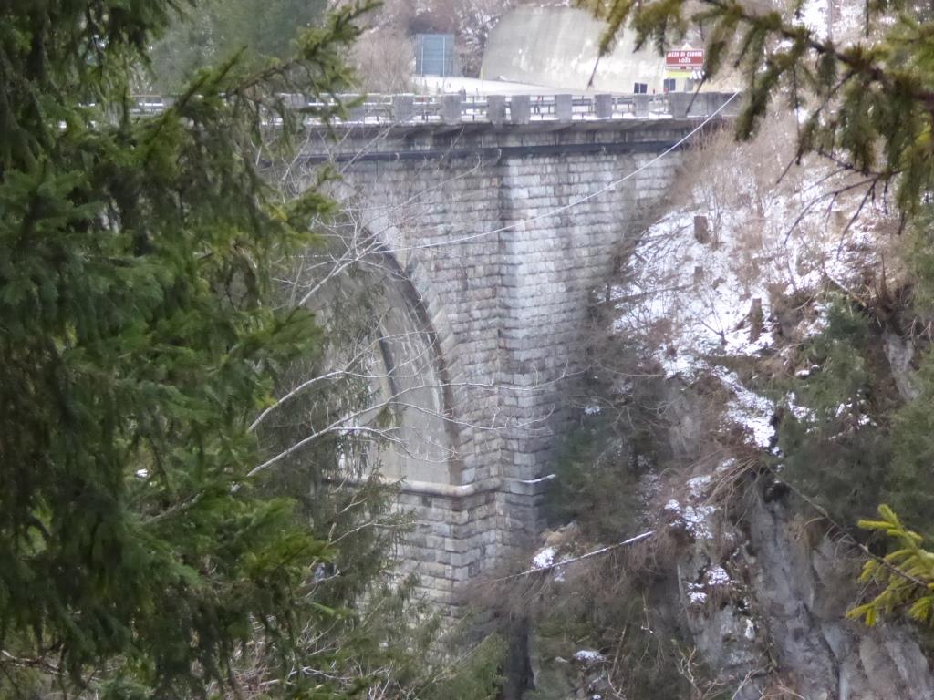 P1100772.JPG