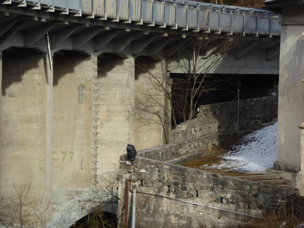 P1100821.JPG