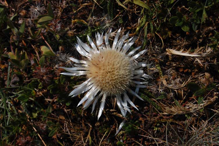 Non manca l'opera della natura all'esterno nei pressi dell'ingresso