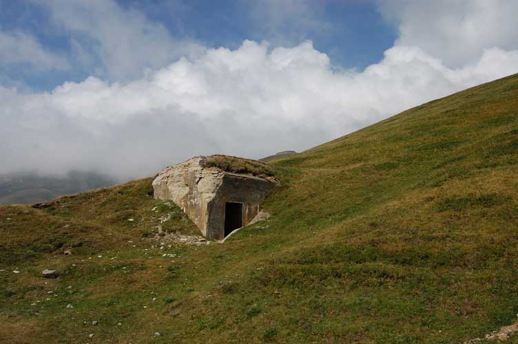 Il Ricovero E