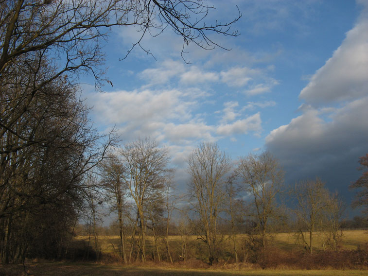 13 gennaio 2015 Parco La Mandria-Scorcio