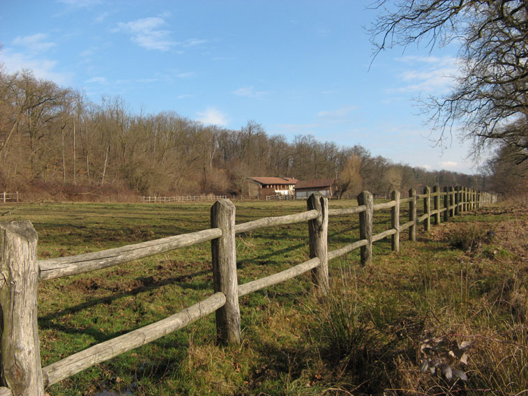20 gennaio 2015 Parco La Mandria-Cascina Romitaggio