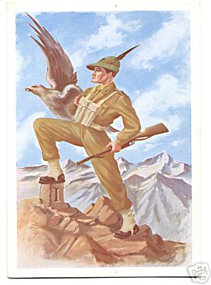 22 alpini posizione.jpeg