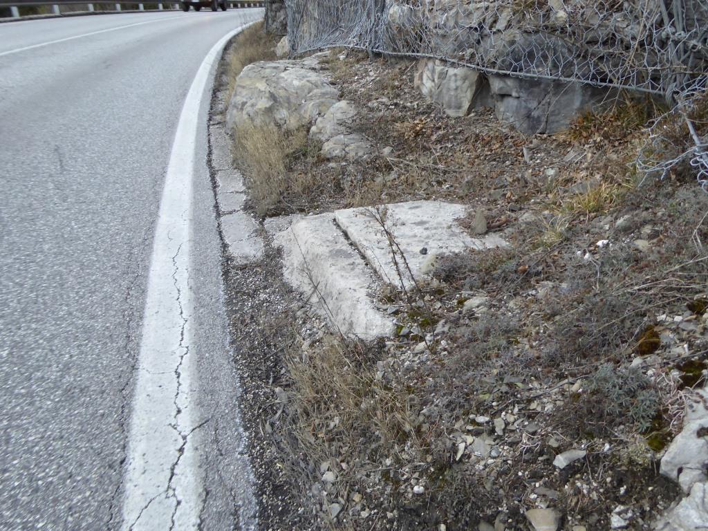 P1110011.JPG