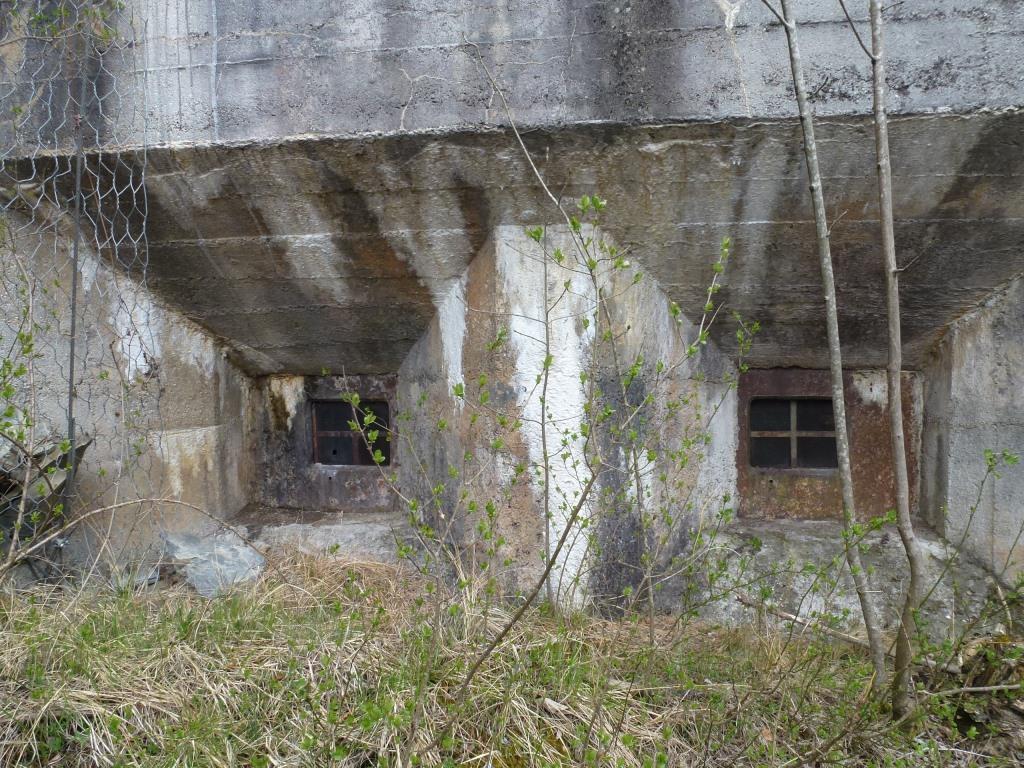 P1000660.JPG