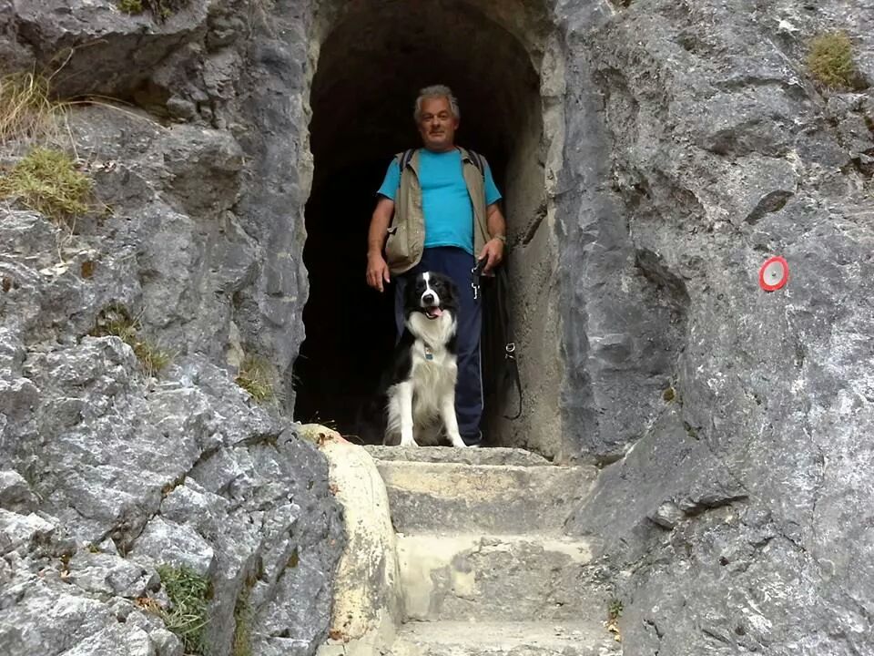 Timau fontanon.jpeg