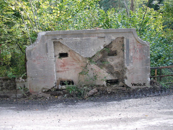 coccau2.jpg