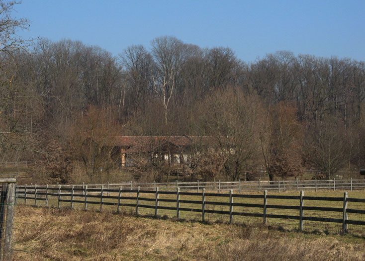 11 febbraio 2015 Parco La Mandria-Cascina Romitaggio