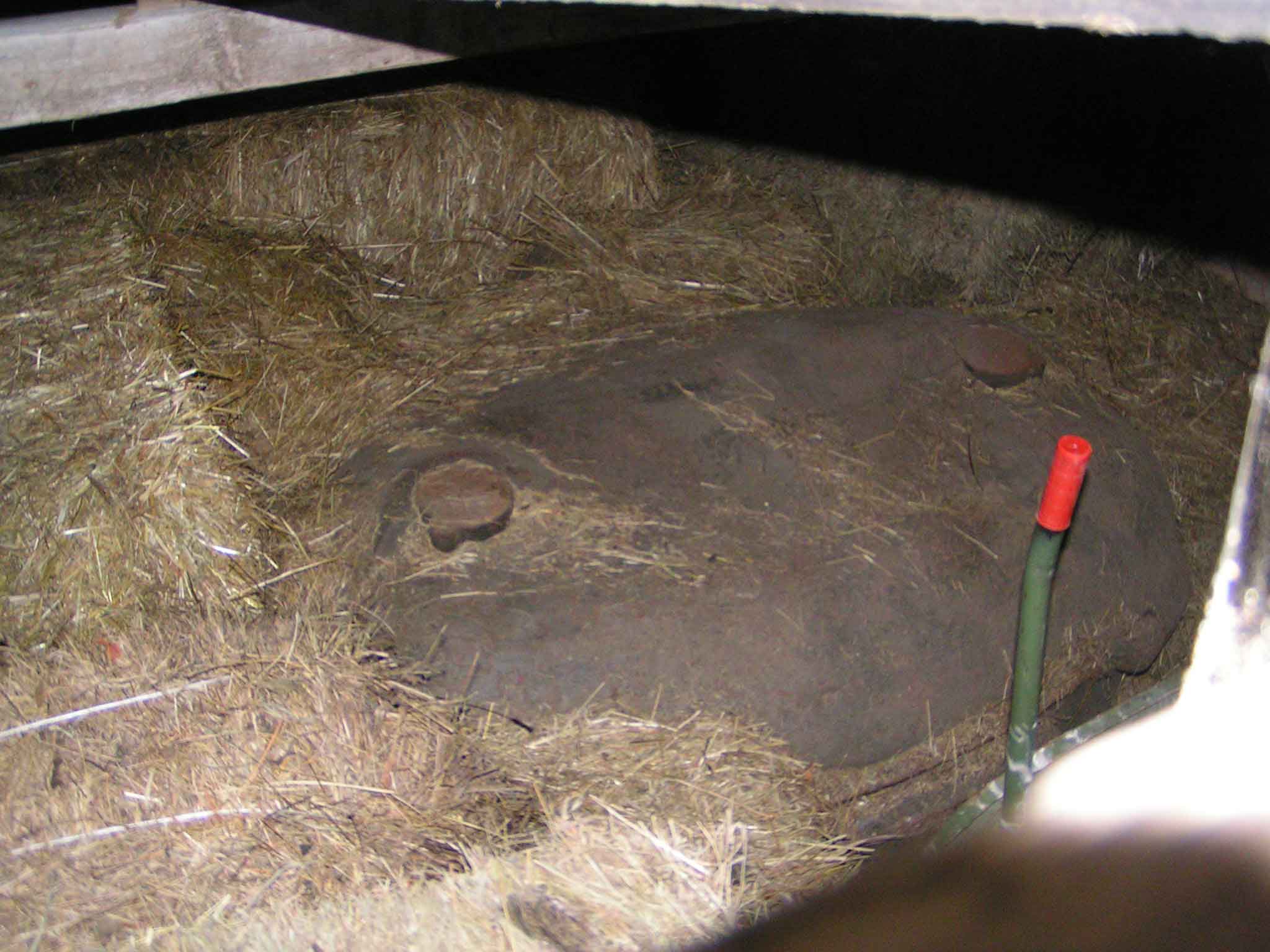 la torretta &quot; impagliata &quot;