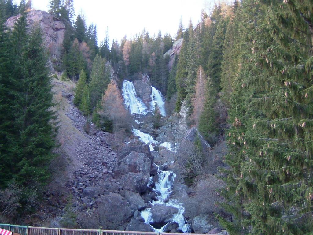 Pissandol (5).jpg