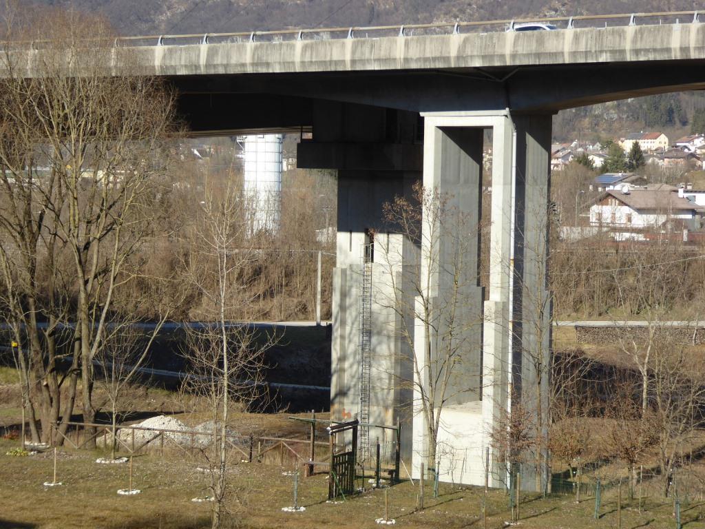 P1110399.JPG