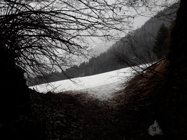 tmp_20150222_072556-72390126.jpg