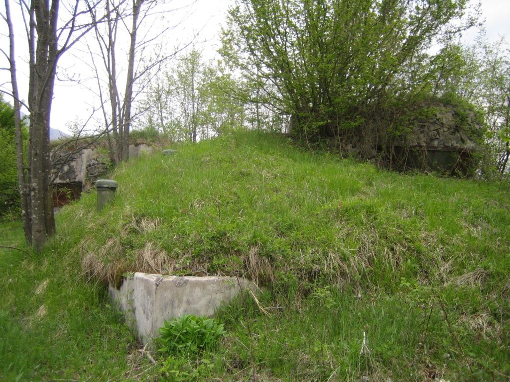Foto 1.JPG