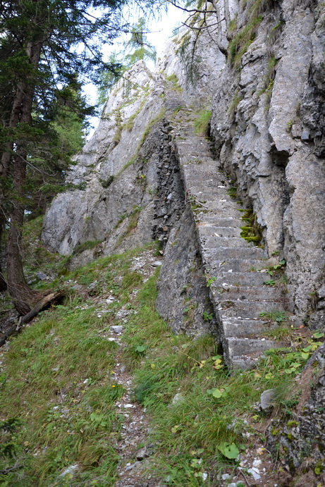 DSC_0008_resize.jpg