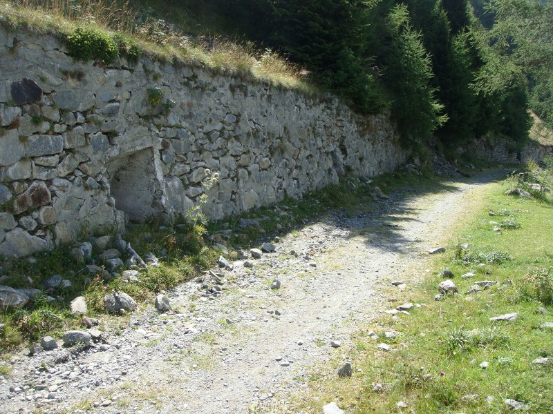 2DSC09436.JPG
