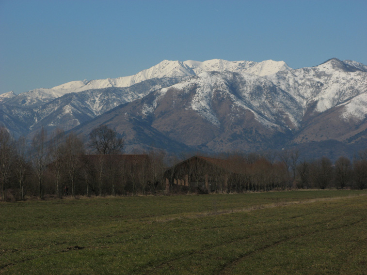 26 febbraio 2015 Parco La Mandria-Cascina Prato Pascolo e monte Civrari