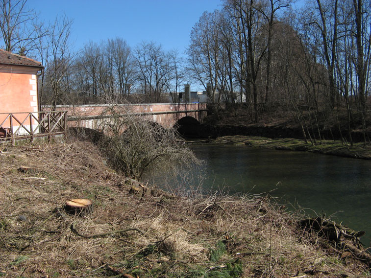 5 marzo 2015 Parco La Mandria-Il Ponte Verde