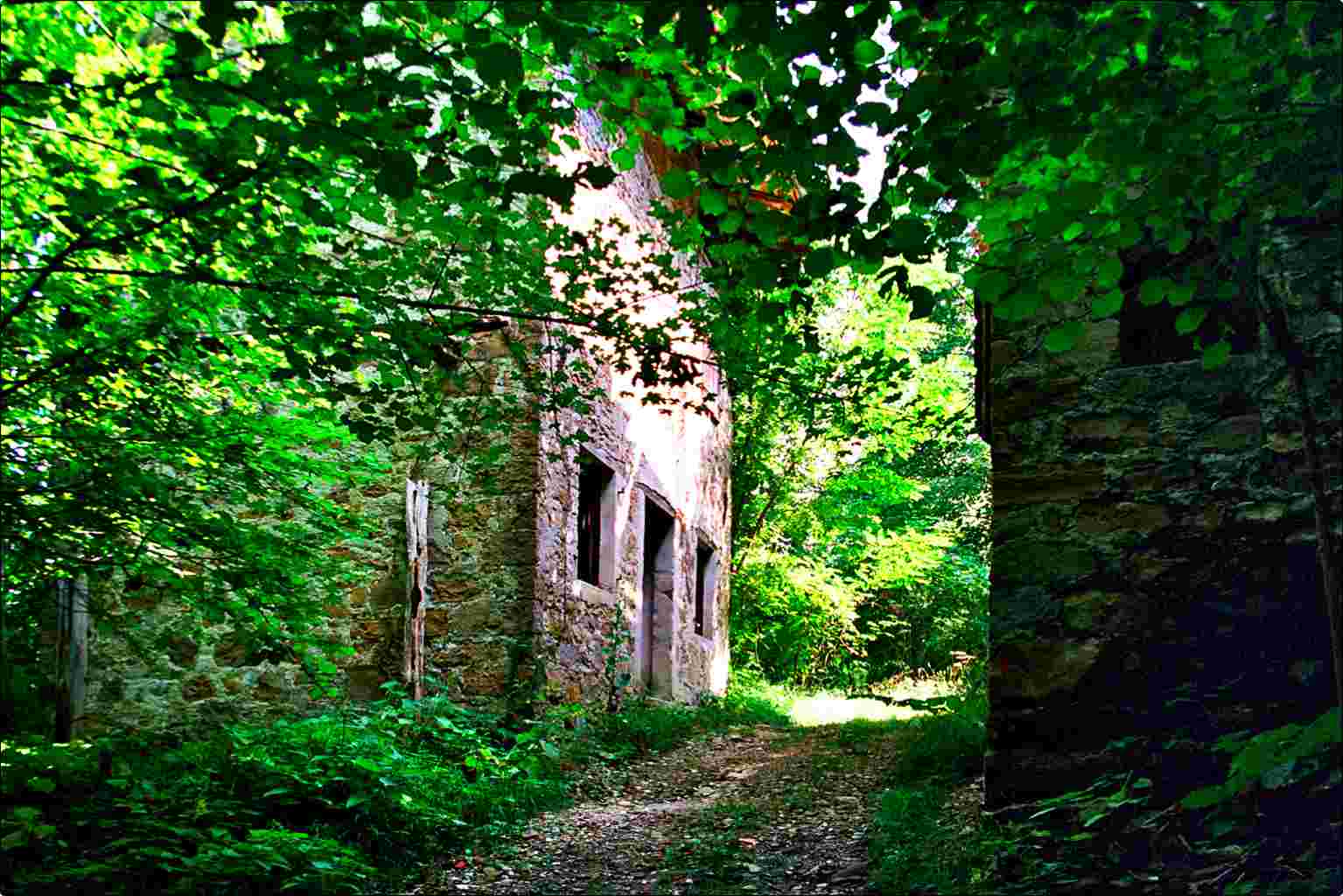 il passato nella pace del bosco