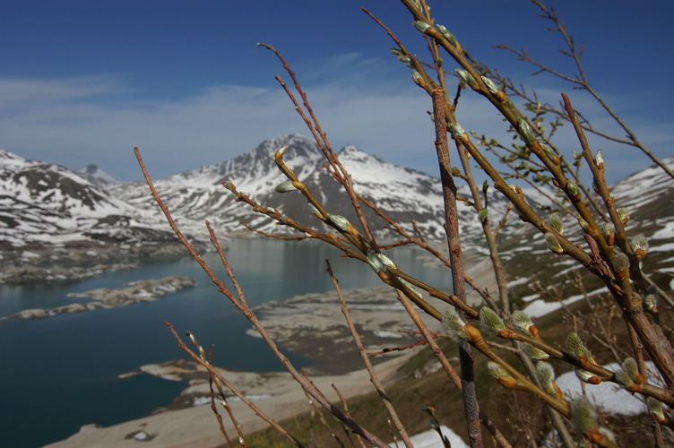 Il lago del Moncenisio in versione primaverile