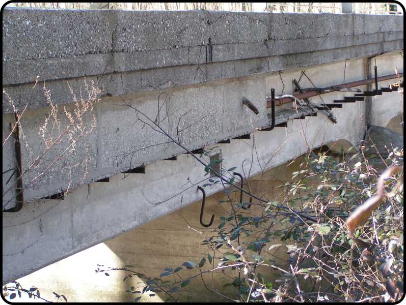 il ponte