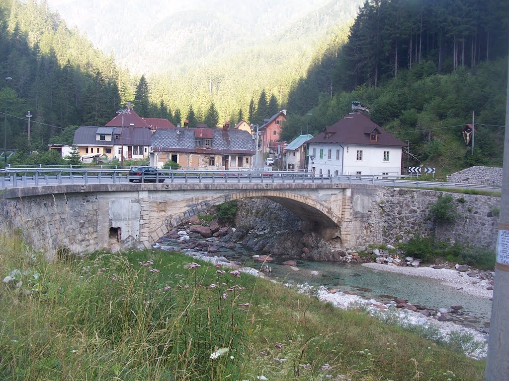15 ponteriofreddo.jpg