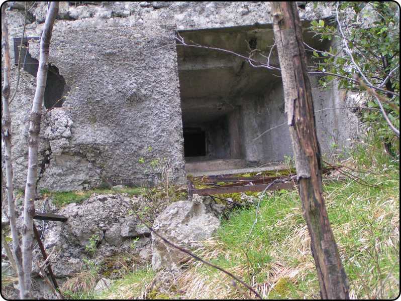 arma alta