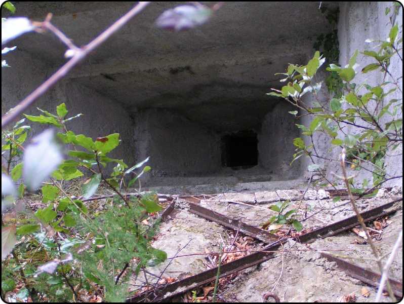 arma alta