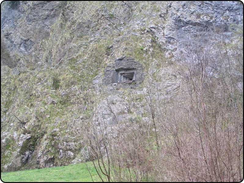 la fetitoia evidenziata
