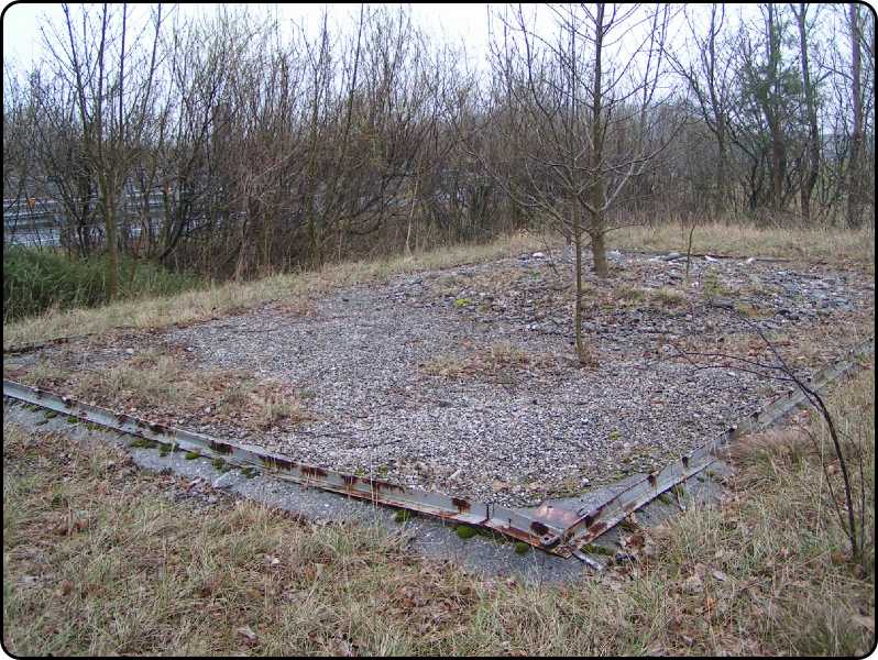 telatio base enucleata a lato dell' autostrada