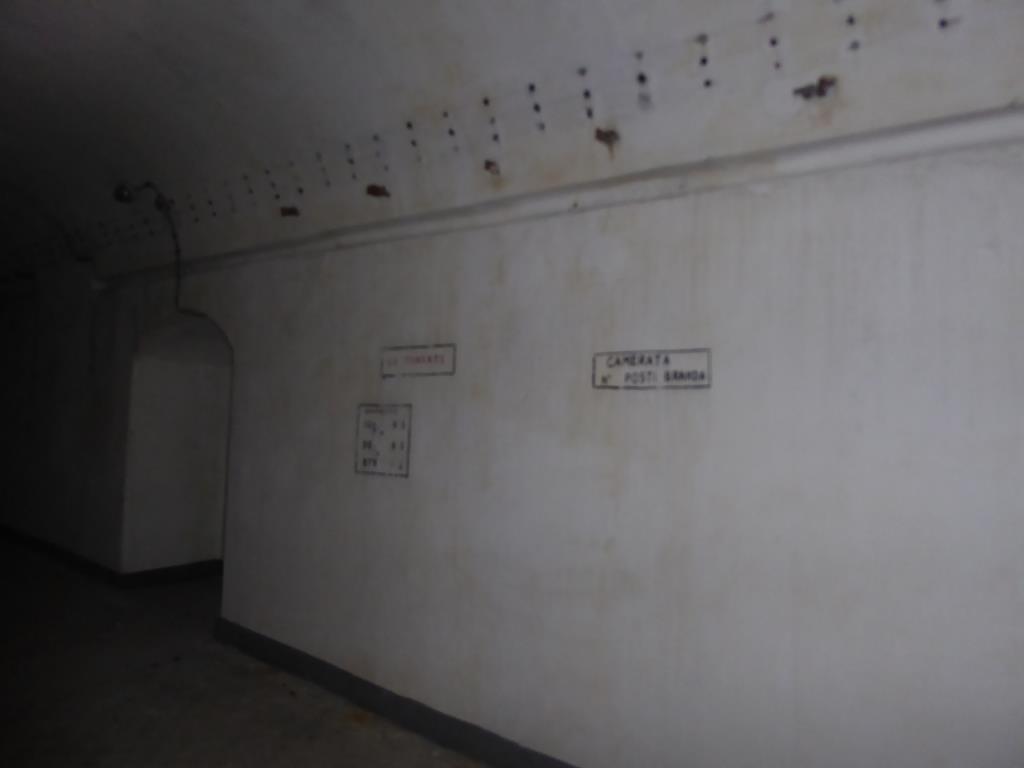 P1120474.JPG