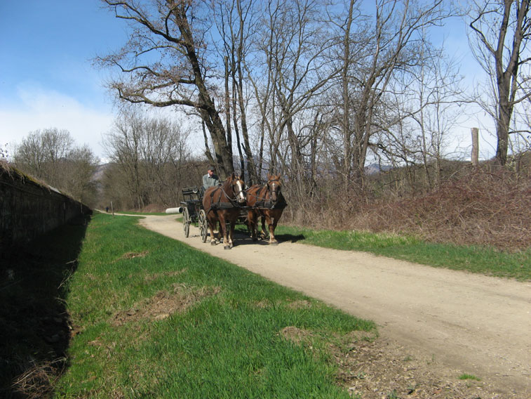 30 marzo 2015 Parco La Mandria-Carrozza